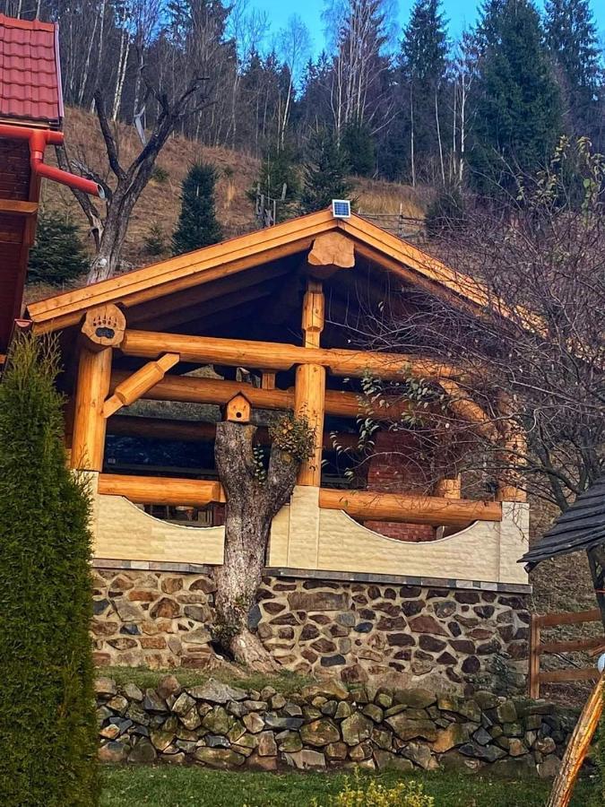 Вілла Casa Anghel Bilbor Екстер'єр фото