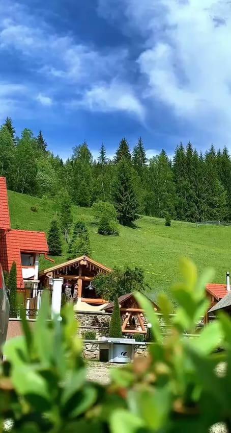 Вілла Casa Anghel Bilbor Екстер'єр фото